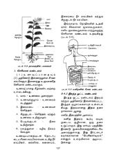 Environmental-Studies-Science-in-Tamil-22.pdf